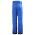 Фото #4 товара HELLY HANSEN Elements Pants