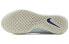 Nike Zoom Court NXT HC DH0219-141 Sneakers