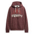 Фото #1 товара SUPERDRY Code Logo Great Outdoors Graphic hoodie