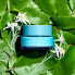 Moisturizing day cream for normal to dry skin SPF 15 Hydra Essentiel (Moisturizes and Quenches Silk y Cream) 50 ml