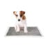 ფოტო #3 პროდუქტის DUVO+ Carbón Dog Urine Pads 30x45 cm 30 Units