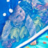 Фото #4 товара Disney Baby Finding Nemo Mr. Ray Ocean Lights Activity Gym