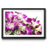 Gerahmtes Bild Orchid Blossom