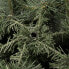 Фото #16 товара Künstlicher Weihnachtsbaum 180 cm