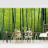 Фото #7 товара Обои Bilderwelten Бамбуковый лес