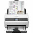 Scanner Epson B11B250401