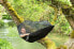 Фото #8 товара Гамак Amazonas Moskito Traveller Expert 275x140cm