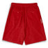 GRIMEY Lucky Dragon Terry Towelling Baggy sweat shorts