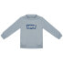 Фото #1 товара LEVI´S ® KIDS French Terry Batwing sweatshirt