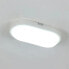 Фото #4 товара LED-Deckenleuchte Ellipse F