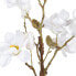 Декоративное растение полиэстер полиэтилен Железо 25 x 25 x 49 cm Magnolia