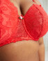 Фото #6 товара We Are We Wear Curve lace longline padded balconette bra in red