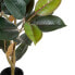 Фото #5 товара Декоративное растение PVC Железо фикус 49 x 45 x 125 cm