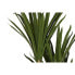 Фото #4 товара Декоративное растение DKD Home Decor (80 x 80 x 180 cm)