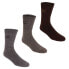 Фото #1 товара REGATTA RMH018 socks 3 pairs