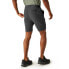 REGATTA Travel Light Shorts