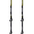 MASTERS Eiger Poles