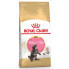 ROYAL CANIN Maine Coon Poultry Rice Kitten 4kg Cat Food Разноцветный, 4kg - фото #2