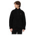 DICKIES Mount Hope half zip fleece