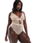 Фото #1 товара ASOS DESIGN Curve Sienna lace soft body in beige