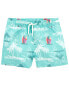 Toddler Beach Print Swim Trunks 5T