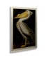 Фото #2 товара John James Audubon American White Pelican Floating Brushed Aluminum Art - 22" x 25"