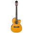 Ibanez GA5TCE Classical Electro Acous tic Guitar, Amber