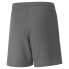 PUMA TeamLiga Shorts