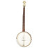 Фото #1 товара Gold Tone CC-Carlin 12 5-str.Banjo