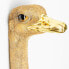 Фото #5 товара Wandschmuck Ostrich
