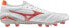 Mizuno Buty Mizuno Morelia Neo VI Beta Japan MD P1GA244060