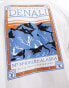 The North Face Denali stamp raglan t-shirt in white