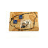 ATHENA P400250475011 Water Pump Gasket Kit