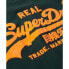 SUPERDRY Neon Vl Graphic Fitted short sleeve T-shirt