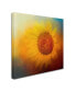 Фото #2 товара Jai Johnson 'Sunflower Surprise' Canvas Art - 14" x 14" x 2"