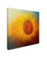 Jai Johnson 'Sunflower Surprise' Canvas Art - 14" x 14" x 2"