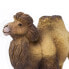 Фото #4 товара SAFARI LTD Bactrian Camel Figure