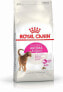 Royal Canin Aroma Exigent 2 KG