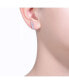ფოტო #2 პროდუქტის Sterling Silver Cubic Zirconia 5-Stone Linear Journey Earrings