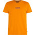 TOMMY HILFIGER MW0MW34387 short sleeve T-shirt