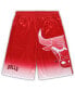 Men's Red Chicago Bulls Big and Tall Graphic Shorts