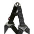Фото #2 товара TRIXIE Petral New Premium Harness