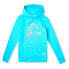 Фото #1 товара O´NEILL Circle Surfer hoodie