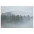 Leinwandbild Nebliger Misty Forest