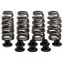 KIBBLEWHITE 82-82560 Valve Springs&Washers