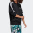 Adidas Originals DV2667 Sweatshirt