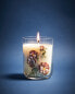 (250 g) blue gardenia scented candle