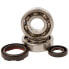 Фото #1 товара HOTRODS Yamaha Wr 250 91-97/YZ 250 90-97 Crank Shaft Bearing Kit