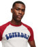 Фото #2 товара SUPERDRY Vintage Superbam Raglan short sleeve T-shirt