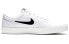 Nike SB Charge Canvas CD6279-101 Sneakers